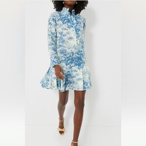 Tuckernuck Tate Dress Misty Blue Toile